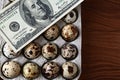 quail eggs in cardboard packaging on wooden background for sale to client and money. Top view. Close-up. Royalty Free Stock Photo