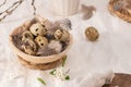 Quail eggs in a ceramic bowl decorated with feather. Organic food. Rustic style. Easter background with label