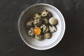Quail eggs in ceramic bowl on black rustic background Royalty Free Stock Photo