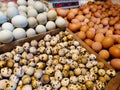 Quail eggs, chicken eggs, and duck eggs in their respective boxes