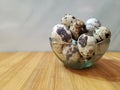 Quail eggs in a clear glass bowl Royalty Free Stock Photo