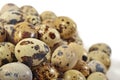 Quail eggs close up on a white