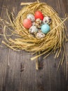 Quail eggs and colored decorative eggs in the nest border ,place for text wooden rustic background top view close up