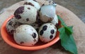 Quail eggs that have been boiled and ready to eat Royalty Free Stock Photo