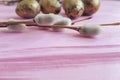 Quail eggs easter peace romancebranch nature of a beautiful decoration willow tradition on a pink wooden background Royalty Free Stock Photo