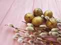 Quail eggs easter peace seasonal branch nature of a beautiful decoration willow tradition on a pink wooden background Royalty Free Stock Photo