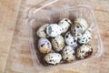 Quail eggs and empty shells lay in transparent box Royalty Free Stock Photo