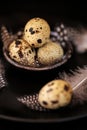 Quail eggs with feathers in a black plate on a black slate background.Organic Farm natural bio quail eggs.natural Royalty Free Stock Photo