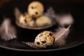 Quail eggs with feathers in a black plate on a black slate background.Organic Farm natural bio quail eggs set. Royalty Free Stock Photo