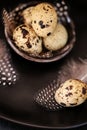 Quail eggs with feathers in a black plate on a black slate background.Organic Farm natural quail eggs set.natural Royalty Free Stock Photo