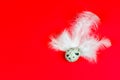 Quail eggs and feathers Royalty Free Stock Photo