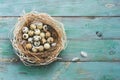 Quail eggs with feathers in a nest of straw on a green rustic background of boards. Easter. Top view, flat lay, copy space