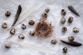 Quail eggs flat lay still life with food stylish Royalty Free Stock Photo