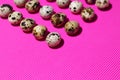 Quail eggs form a triangle on a textured pink background Royalty Free Stock Photo