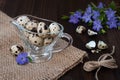 Quail eggs in a glass gravy boat and periwinkle flowers