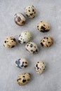 Quail eggs on a gray concrete background Royalty Free Stock Photo