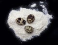 Quail eggs on a handful of flour Royalty Free Stock Photo