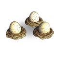 Quail eggs