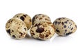 Quail eggs are isolated on white background Royalty Free Stock Photo