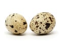 Quail eggs