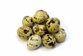 Quail eggs are isolated on a white background. Group eggs quail spotted small are isolated on a white background.