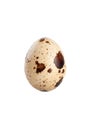 Quail eggs isolated on white background Royalty Free Stock Photo