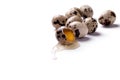 Quail eggs isolated on a white background. One egg is broken Royalty Free Stock Photo
