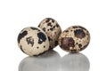 Quail eggs isolated on white background Royalty Free Stock Photo