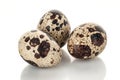 Quail eggs isolated on white background Royalty Free Stock Photo