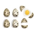 Quail eggs isolated on white background set. Vector illustration of a whole egg, a broken shell Royalty Free Stock Photo