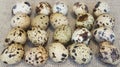 Quail eggs on kitchen table