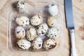 Quail eggs lay in transparent box. Near knife Royalty Free Stock Photo