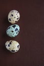 Quail eggs on leather background Royalty Free Stock Photo