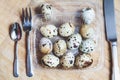 Quail eggs lie in transparent box. Near knife, fork, spoon Royalty Free Stock Photo