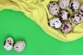 Quail eggs on a light green surface, top view, empty place for t