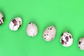 Quail eggs on a light green surface, top view, empty place for t