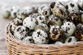 Quail eggs a lot of in basket and heap shell quail eggs on sackcloth of the wooden background. Royalty Free Stock Photo