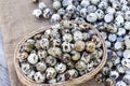 Quail eggs a lot of in basket and heap shell quail eggs on sackcloth of the wooden background Royalty Free Stock Photo