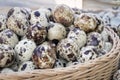 Quail eggs a lot of in basket and heap shell quail eggs on sackcloth of the wooden background Royalty Free Stock Photo
