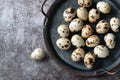 Quail eggs in a metal tray Royalty Free Stock Photo