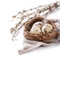 Quail eggs in a nest with feathers and willow branch on a white background for Easter Royalty Free Stock Photo