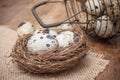 Quail eggs in nest on wooden table with metallic bask