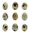 Quail eggs