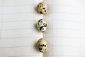 Quail eggs on notebook Royalty Free Stock Photo