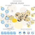 Quail eggs nutrition facts and health benefits infographic