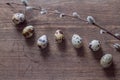 Quail eggs on an old wooden table and willow branch Royalty Free Stock Photo