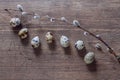 Quail eggs on an old wooden table and willow branch Royalty Free Stock Photo