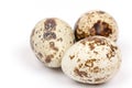 Quail eggs over white background Royalty Free Stock Photo