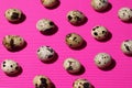 Quail eggs pattern on a textured pink background Royalty Free Stock Photo