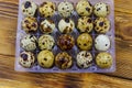 Quail eggs in a plastic box on wooden table Royalty Free Stock Photo